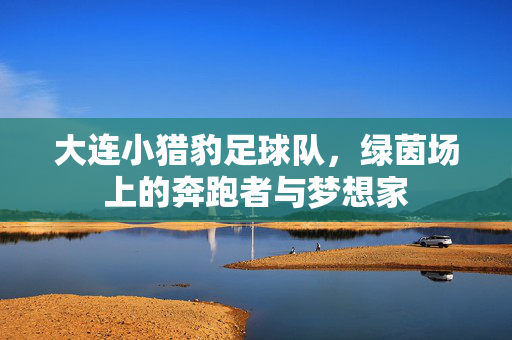 大连小猎豹足球队，绿茵场上的奔跑者与梦想家