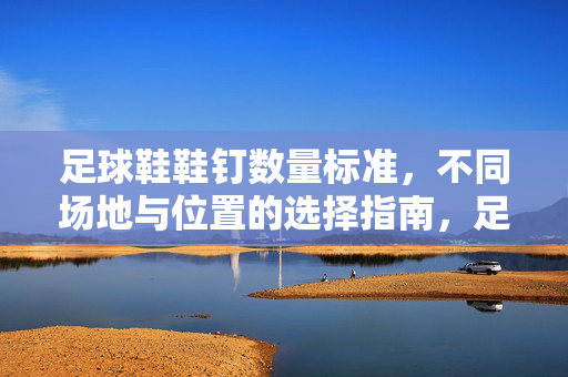 足球鞋鞋钉数量标准，不同场地与位置的选择指南，足球鞋鞋钉数量标准，不同场地与位置的选择指南