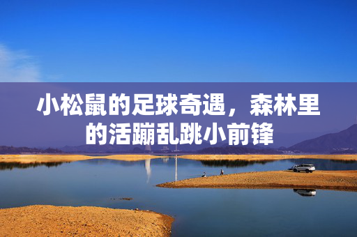 小松鼠的足球奇遇，森林里的活蹦乱跳小前锋