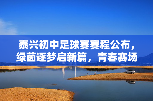 泰兴初中足球赛赛程公布，绿茵逐梦启新篇，青春赛场展风采，泰兴初中足球赛赛程公布，绿茵逐梦启新篇，青春赛场展风采