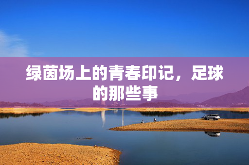 绿茵场上的青春印记，足球的那些事