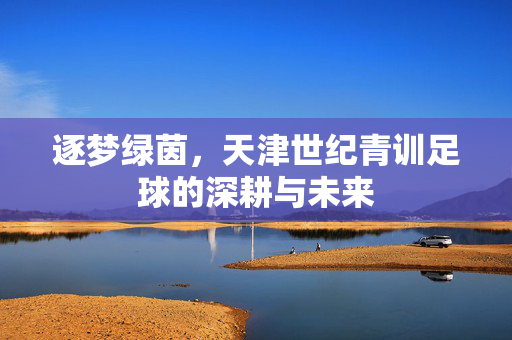 逐梦绿茵，天津世纪青训足球的深耕与未来