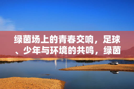 绿茵场上的青春交响，足球、少年与环境的共鸣，绿茵场上的青春交响，足球、少年与环境的共鸣