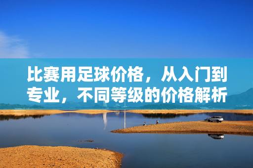 比赛用足球价格，从入门到专业，不同等级的价格解析与选购指南