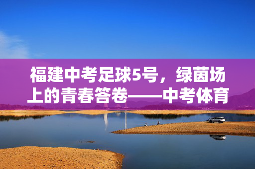 福建中考足球5号，绿茵场上的青春答卷——中考体育与足球运动的深度融合