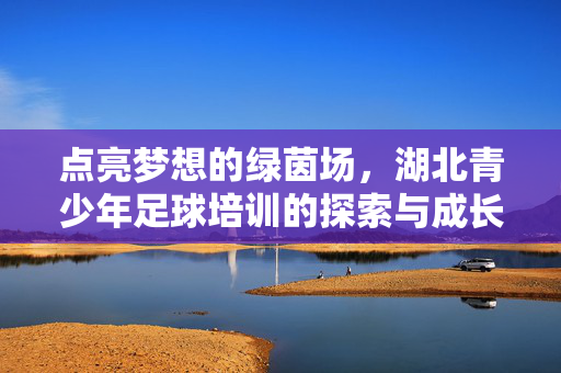 点亮梦想的绿茵场,湖北青少年足球培训的探索与成长