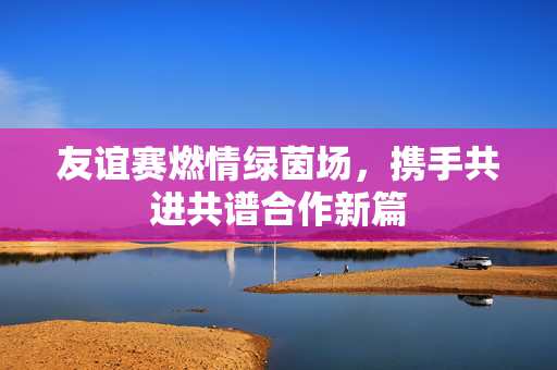 友谊赛燃情绿茵场，携手共进共谱合作新篇