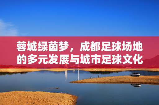 蓉城绿茵梦，成都足球场地的多元发展与城市足球文化