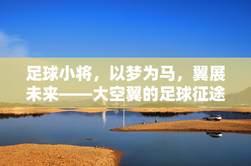 足球小将，以梦为马，翼展未来——大空翼的足球征途与青春力量