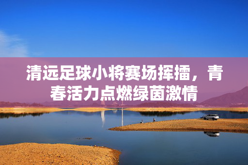 清远足球小将赛场挥擂，青春活力点燃绿茵激情