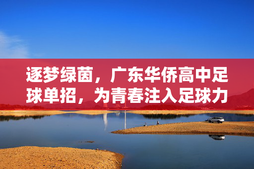 逐梦绿茵，广东华侨高中足球单招，为青春注入足球力量