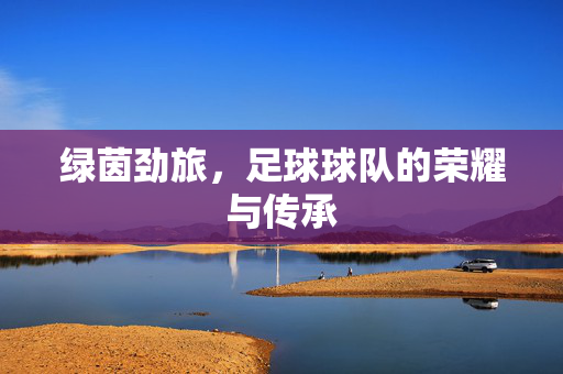绿茵劲旅，足球球队的荣耀与传承