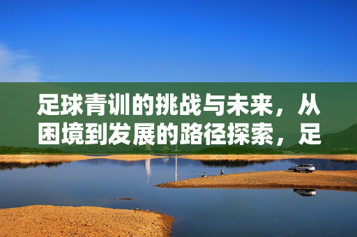 足球青训的挑战与未来，从困境到发展的路径探索，足球青训的挑战与未来，从困境到发展的路径探索