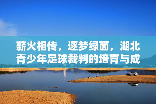 薪火相传，逐梦绿茵，湖北青少年足球裁判的培育与成长之路