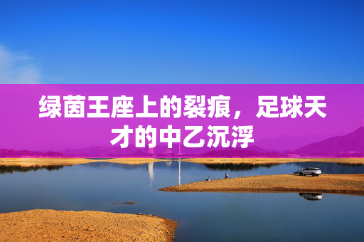 绿茵王座上的裂痕,足球天才的中乙沉浮