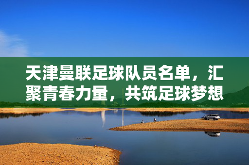 天津曼联足球队员名单,汇聚青春力量,共筑足球梦想