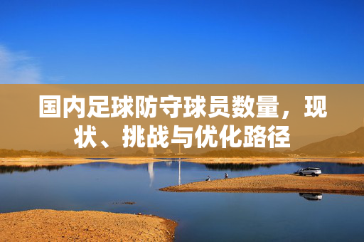 国内足球防守球员数量，现状、挑战与优化路径
