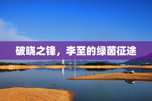 破晓之锋，李至的绿茵征途
