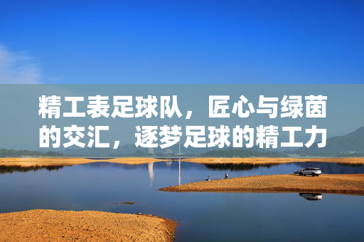 精工表足球队，匠心与绿茵的交汇，逐梦足球的精工力量，精工表足球队，匠心与绿茵的交汇，逐梦足球的精工力量