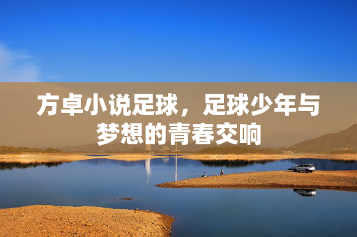 方卓小说足球，足球少年与梦想的青春交响