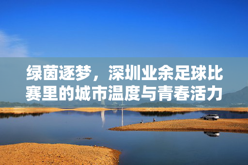 绿茵逐梦，深圳业余足球比赛里的城市温度与青春活力，绿茵逐梦，深圳业余足球比赛里的城市温度与青春活力