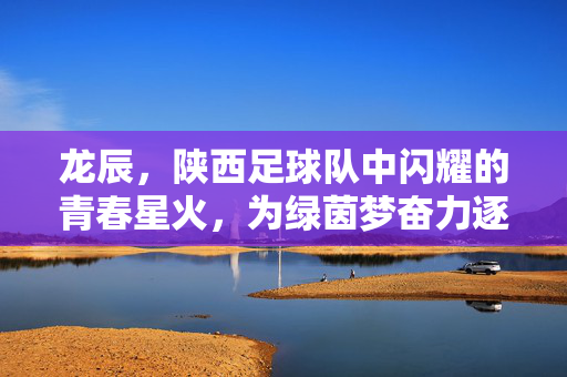 龙辰，陕西足球队中闪耀的青春星火，为绿茵梦奋力逐光，龙辰，陕西足球队闪耀的青春星火，为绿茵梦奋力逐光