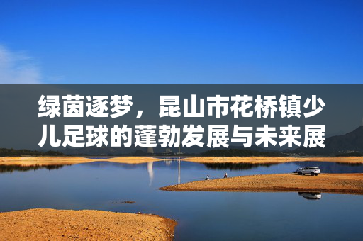 绿茵逐梦，昆山市花桥镇少儿足球的蓬勃发展与未来展望，绿茵逐梦，昆山市花桥镇少儿足球的蓬勃发展与未来展望