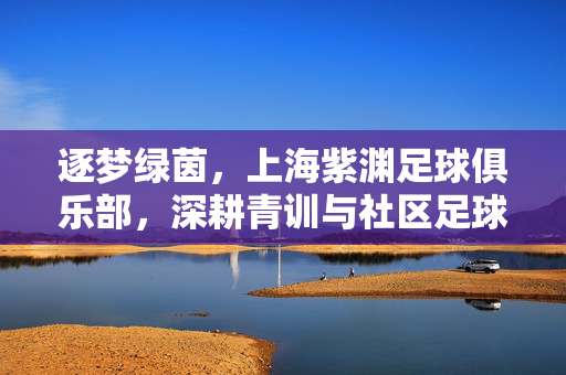 逐梦绿茵，上海紫渊足球俱乐部，深耕青训与社区足球的活力引擎，逐梦绿茵，上海紫渊足球俱乐部，深耕青训与社区足球的活力引擎