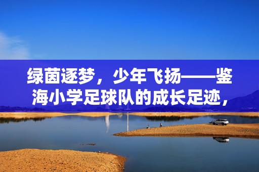 绿茵逐梦，少年飞扬——鉴海小学足球队的成长足迹，绿茵逐梦，少年飞扬——鉴海小学足球队的成长足迹