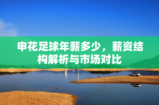 申花足球年薪多少，薪资结构解析与市场对比