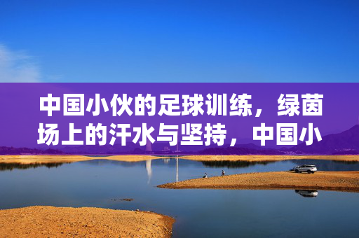中国小伙的足球训练，绿茵场上的汗水与坚持，中国小伙的足球训练，绿茵场上的汗水与坚持