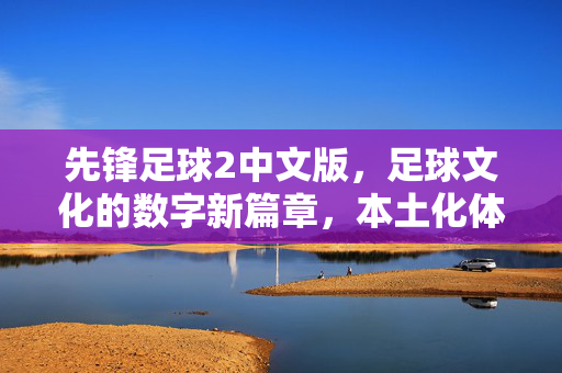 先锋足球2中文版，足球文化的数字新篇章，本土化体验的深度探索，先锋足球2中文版，足球文化的数字新篇章与本土化体验的深度探索