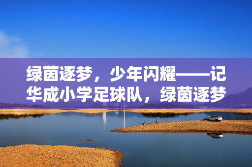 绿茵逐梦，少年闪耀——记华成小学足球队，绿茵逐梦，少年闪耀——记华成小学足球队