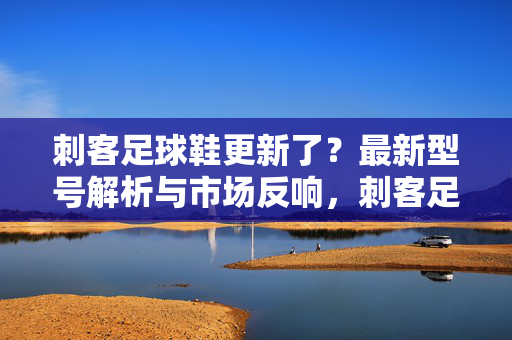 刺客足球鞋更新了？最新型号解析与市场反响，刺客足球鞋最新型号更新，解析与市场反响