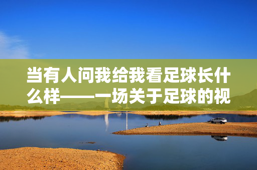 当有人问我给我看足球长什么样——一场关于足球的视觉与情感之旅，当有人问我给我看足球长什么样——一场关于足球的视觉与情感之旅