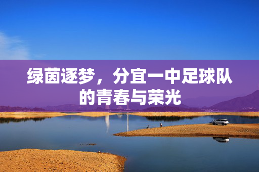 绿茵逐梦，分宜一中足球队的青春与荣光