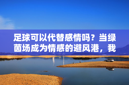 足球可以代替感情吗？当绿茵场成为情感的避风港，我们或许该重新定义替代的意义