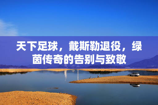 天下足球，戴斯勒退役，绿茵传奇的告别与致敬