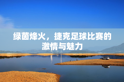 绿茵烽火，捷克足球比赛的激情与魅力
