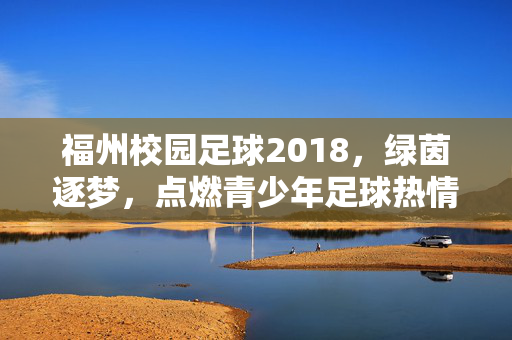 福州校园足球2018，绿茵逐梦，点燃青少年足球热情的年度答卷