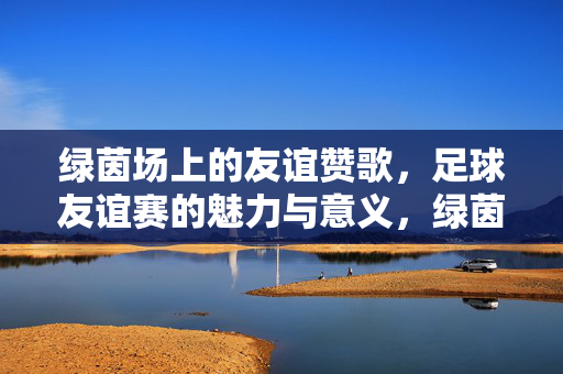 绿茵场上的友谊赞歌，足球友谊赛的魅力与意义，绿茵场上的友谊赞歌，足球友谊赛的魅力与意义