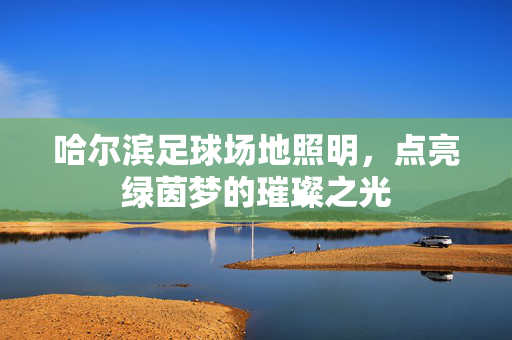 哈尔滨足球场地照明,点亮绿茵梦的璀璨之光