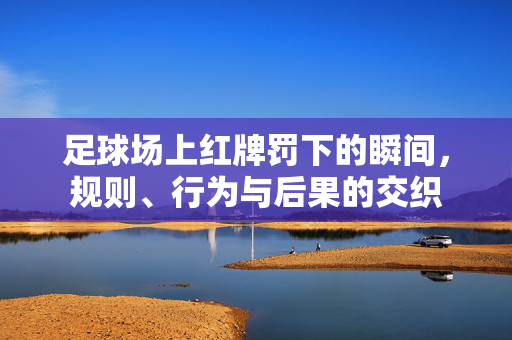 足球场上红牌罚下的瞬间，规则、行为与后果的交织