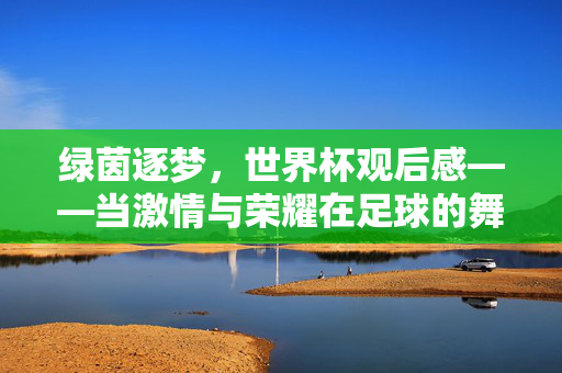 绿茵逐梦，世界杯观后感——当激情与荣耀在足球的舞台上碰撞