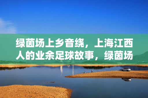 绿茵场上乡音绕，上海江西人的业余足球故事，绿茵场上乡音绕，上海江西人的业余足球故事