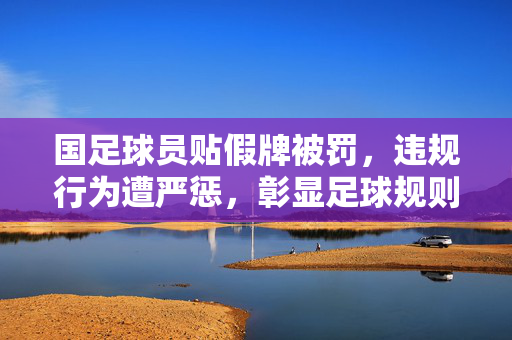 国足球员贴假牌被罚，违规行为遭严惩，彰显足球规则不可逾越的红线