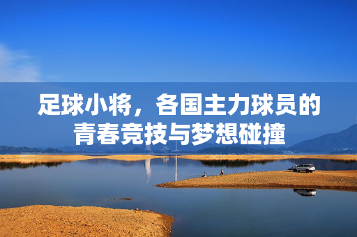 足球小将，各国主力球员的青春竞技与梦想碰撞