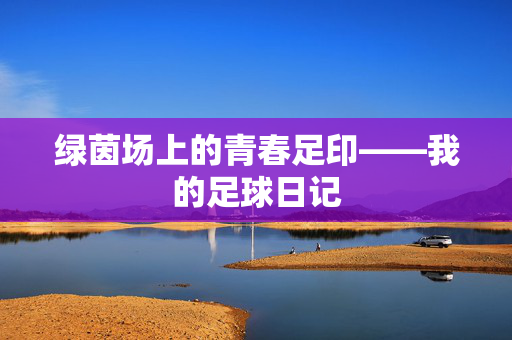 绿茵场上的青春足印——我的足球日记