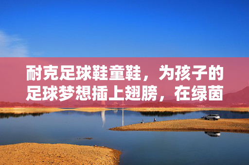 耐克足球鞋童鞋，为孩子的足球梦想插上翅膀，在绿茵场上自由驰骋