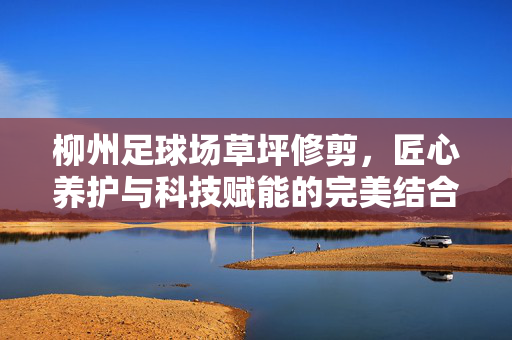 柳州足球场草坪修剪，匠心养护与科技赋能的完美结合，柳州足球场草坪修剪，匠心养护与科技赋能的完美结合